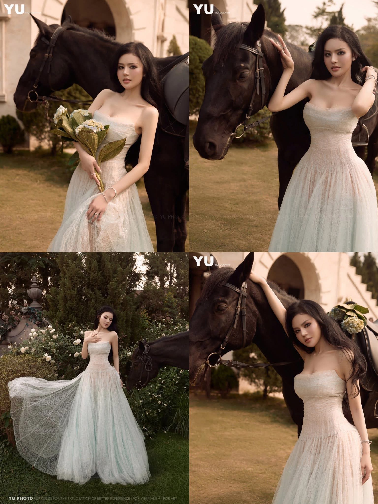 CONCEPT CHỤP NGỰA OUT